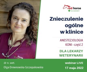 NAGRANIE Anestezjologia koni cz. 2 - Znieczulenie og. w klinice 05-2022