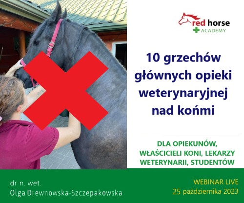 zdj web 10 grzechow.jpeg