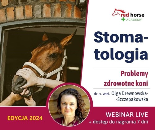 BLOK Zdrowotny - Stomatologia koni.jpg