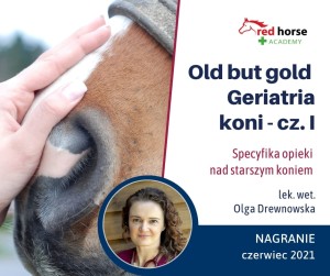 NAGRANIE - Old but gold - geriatria koni cz.1