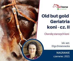 NAGRANIE - Old but gold - geriatria koni cz.2